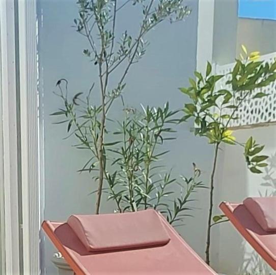 Apartmán Entre Catedrales Terrace Sevilla Exteriér fotografie